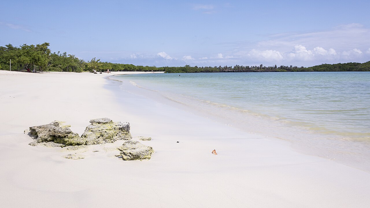 Galápagos, encuentro con la naturaleza